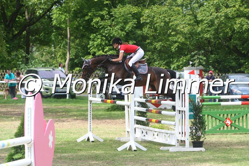 308M5212_Springpferde Mx.JPG